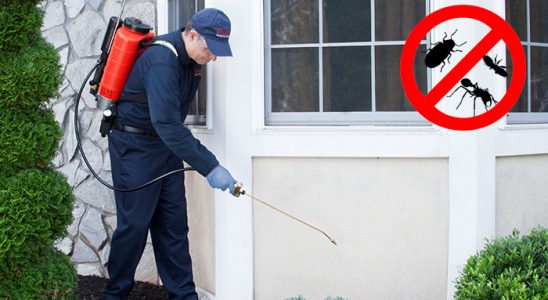 Çamdibi Karınca İlaçlama böcek ilaçlama ve haşere kontrolü — ilaclama-tr.com